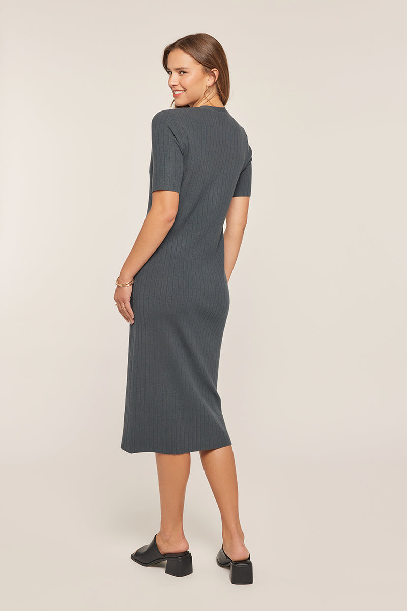 Octavia Dress in Ink