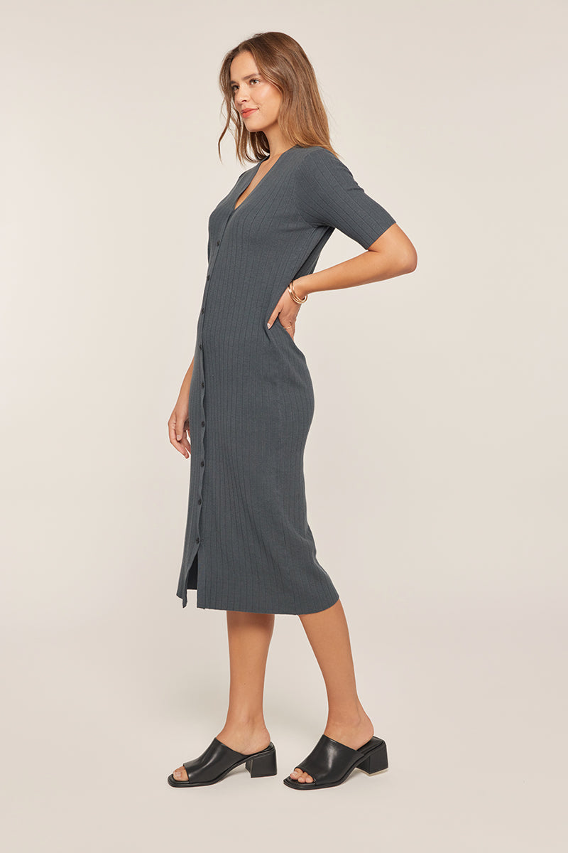 Octavia Dress in Ink